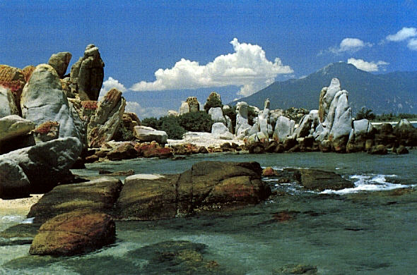 Tiếng gọi biển cả C&agrave; N&aacute; 